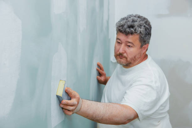 Best Drywall Sanding and Smoothing  in Cypress Lake, FL